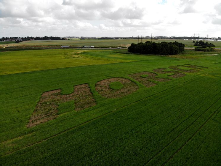 HORSCH från luften