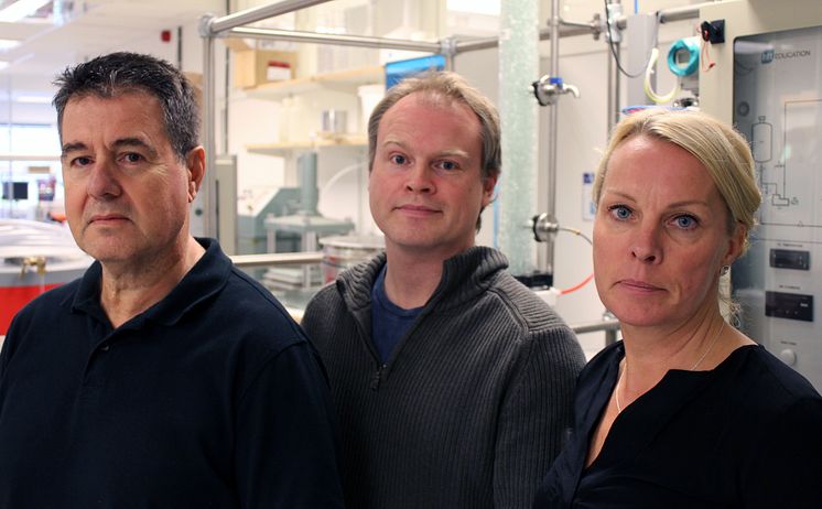 Teamet bakom koldioxidforskningen på Luleå tekniska universitet är Paul Christakopoulos, professor, Magnus Sjöblom, forskare och projektledare och professor Ulrika Rova, alla inom biokemisk processteknik.