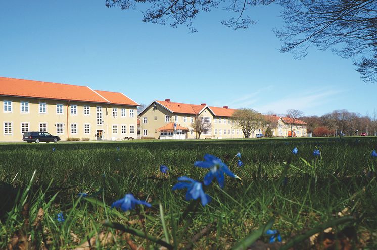 Området Sege Park, tidigare Östra sjukhuset