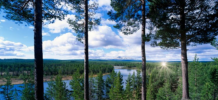 North Sweden Cleantech