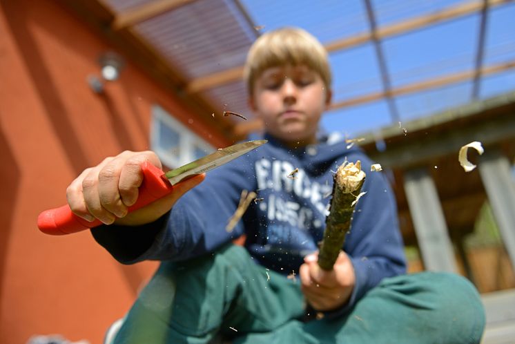 Svanninge Bjerge dreng der snitter i træ