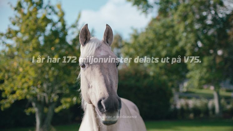 Reklam med sjungande hästar