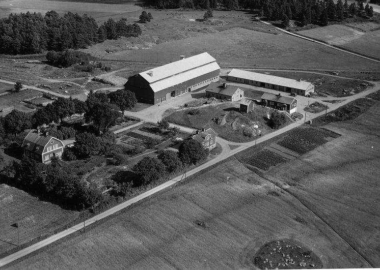 Tibble gård, 1949. 