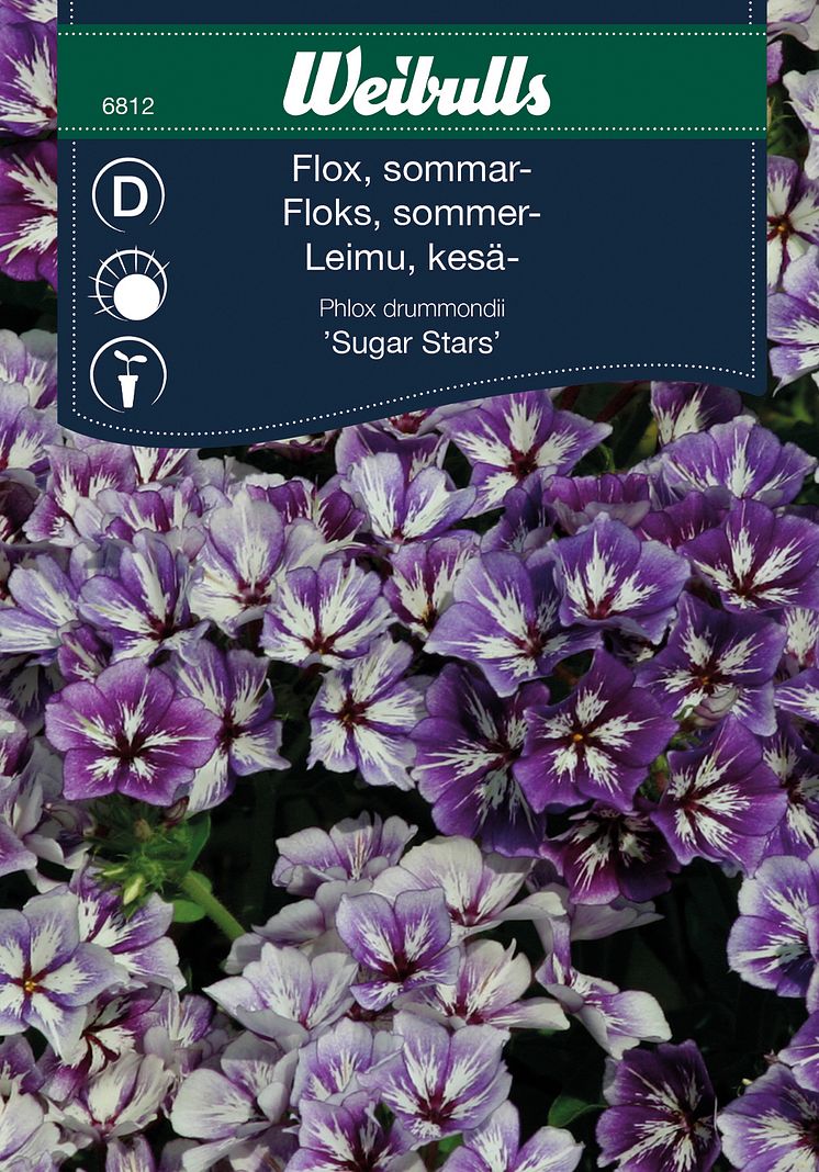 6812_flox_sommar