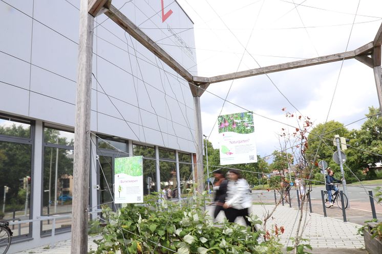 "Naturgarten" an der Universität Vechta