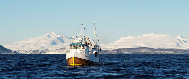 barco de pesca