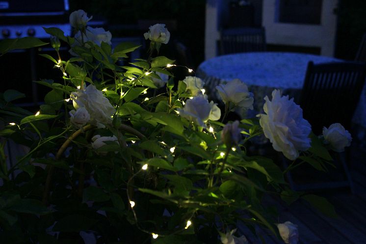 Solcellsladdad ljusslinga - Blommor