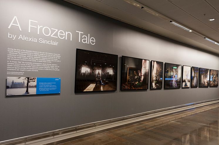 Utställning "A Frozen Tale"_1