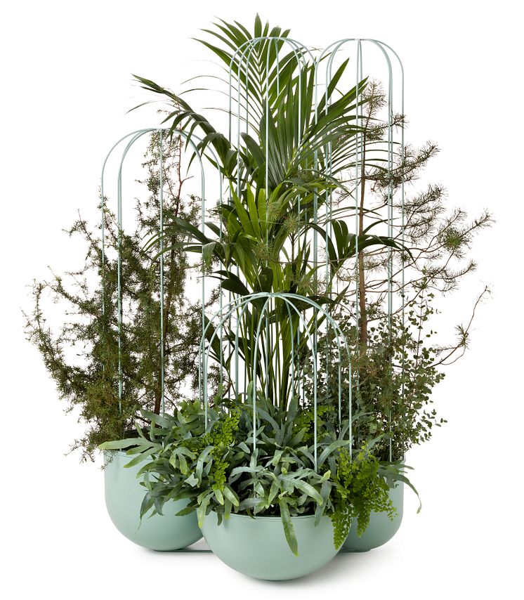 Cacti planter, design Anki Gneib
