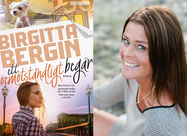 Birgitta Bergin och boken Ett oemotståndligt begär