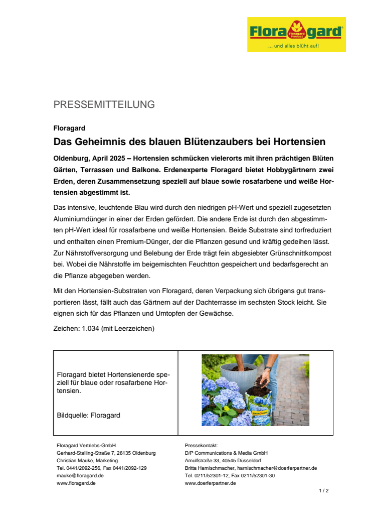 Floragard_Hortensien pflanzen.pdf