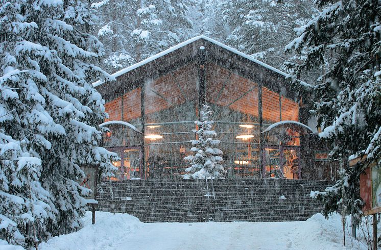Entre Vinter