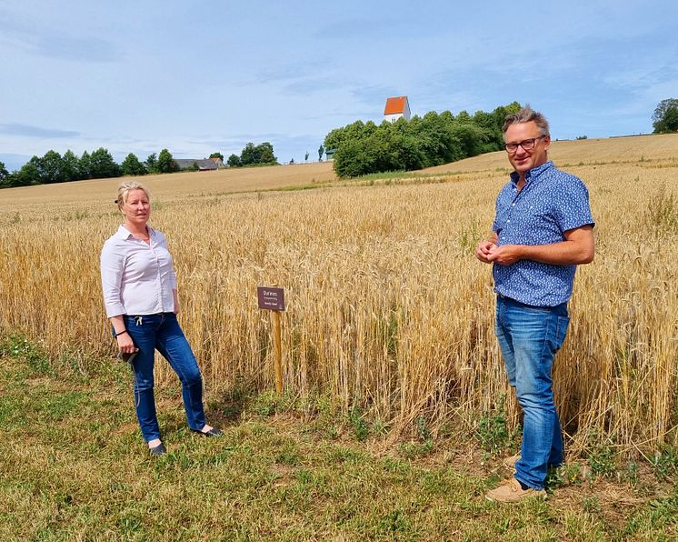 Skörd testodling LHV 2022