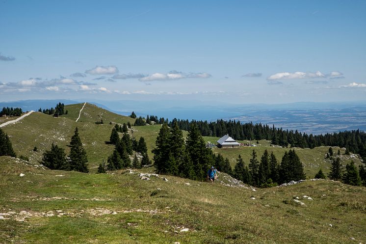 JuraHoehenweg_Montricher(c)SchweizTourismus_TamaraFehr