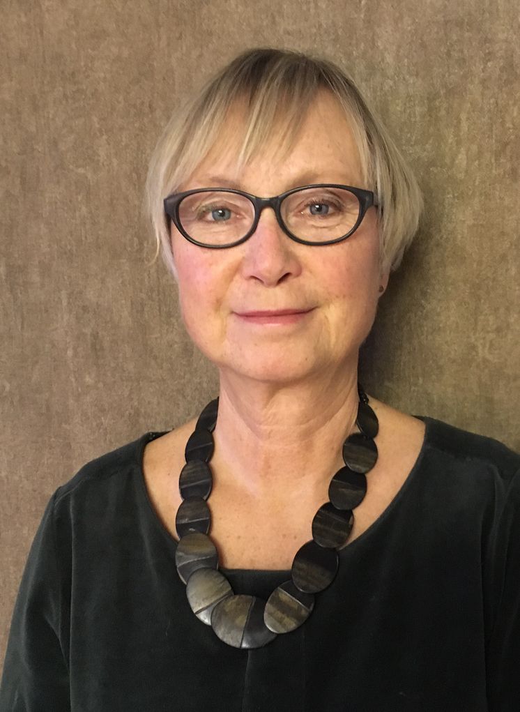 Karin Olsson, Institutionen för folkhälsa och klinisk medicin, Institutionen för omvårdnad.
