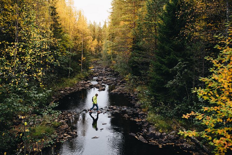 Vandring och naturupplevelser på hösten