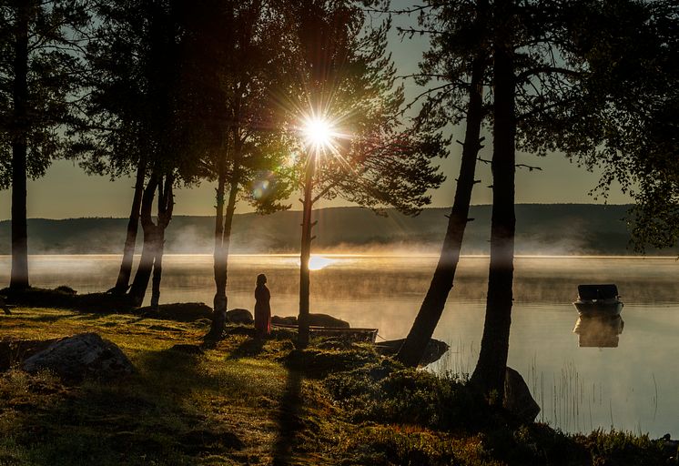Finnskogen sommernatt Mona Nordøy.jpg