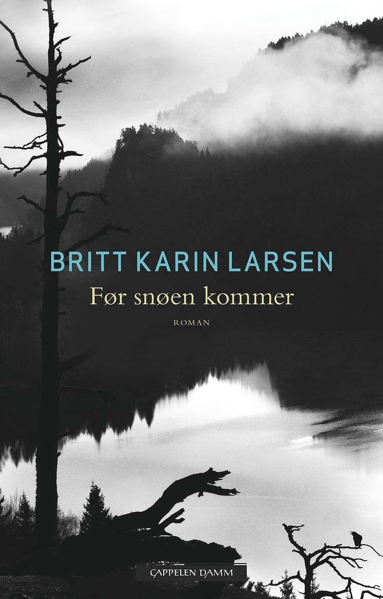 Før snøen kommer