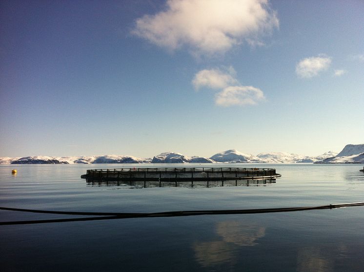 Sjøanlegg ved Slettnes i Finnmark