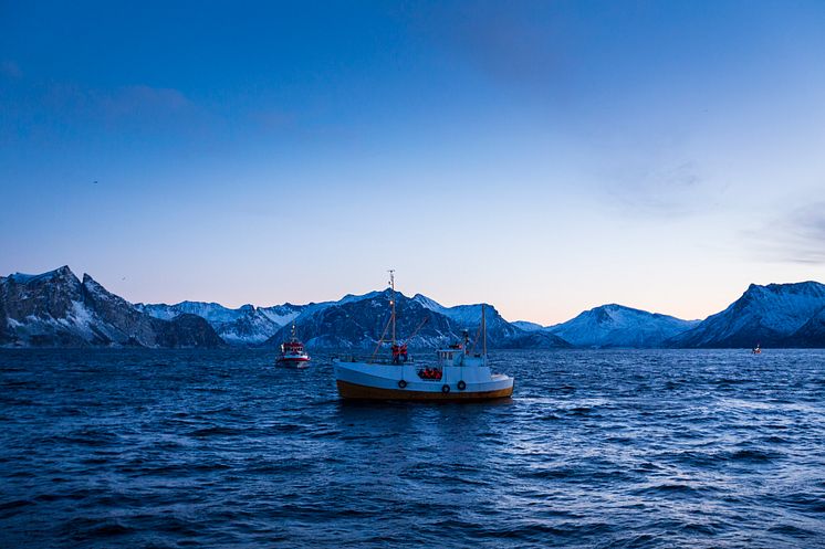 Genauso wie früher fahren die Skreifischer mit ihren kleinen Booten gegen 4 Uhr morgens aufs Meer hinaus, um Skrei mit der Langleine und Handangel zu fangen.