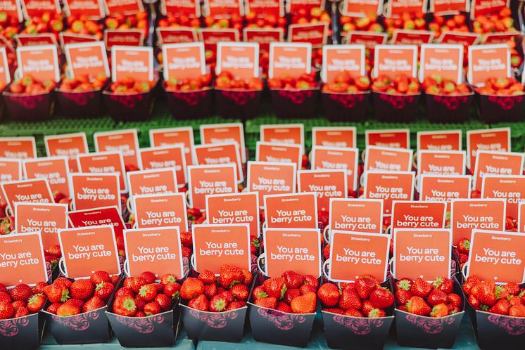 Strawberry launch 3
