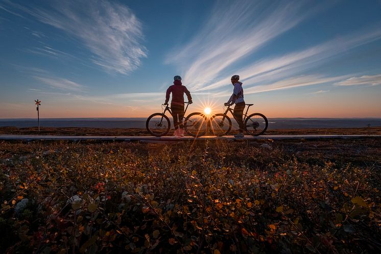 Trailcykling sommar