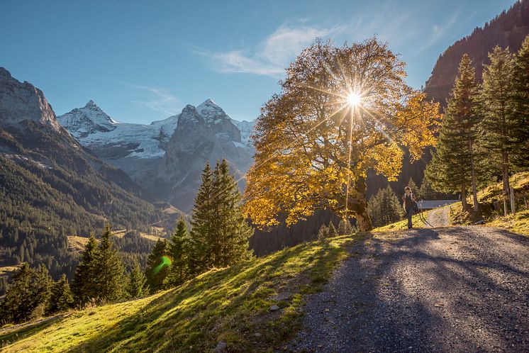 Rosenlaui(c)SchweizTourismus_JanGeerk