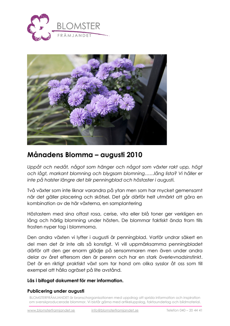 Månadens Blomma – augusti 2010  