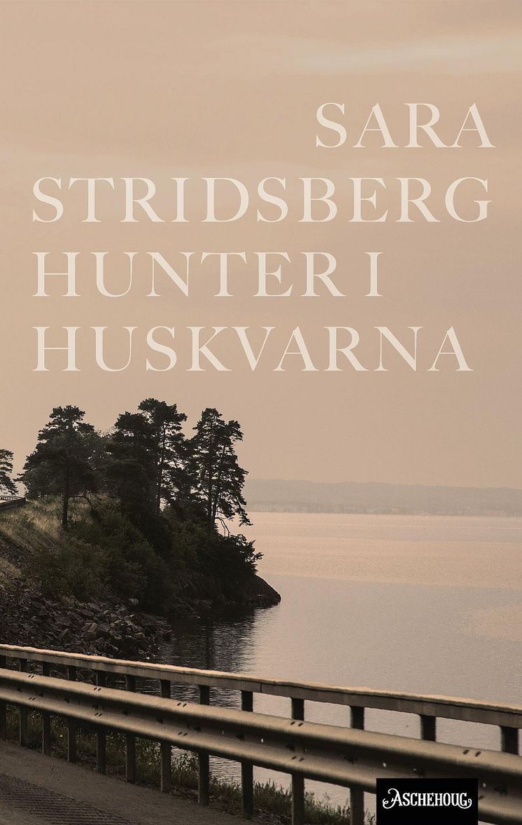 Stridsberg_Hunter i Huskvarna.jpg
