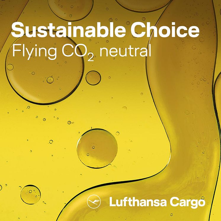 Sustainable Aviation Fuel.jpg