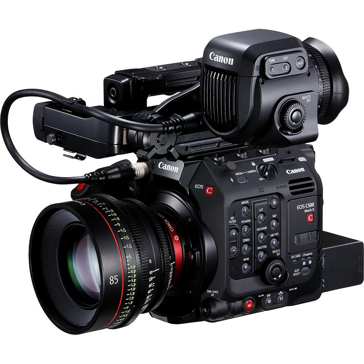 Gallery-EOS C500 Mark II (12)