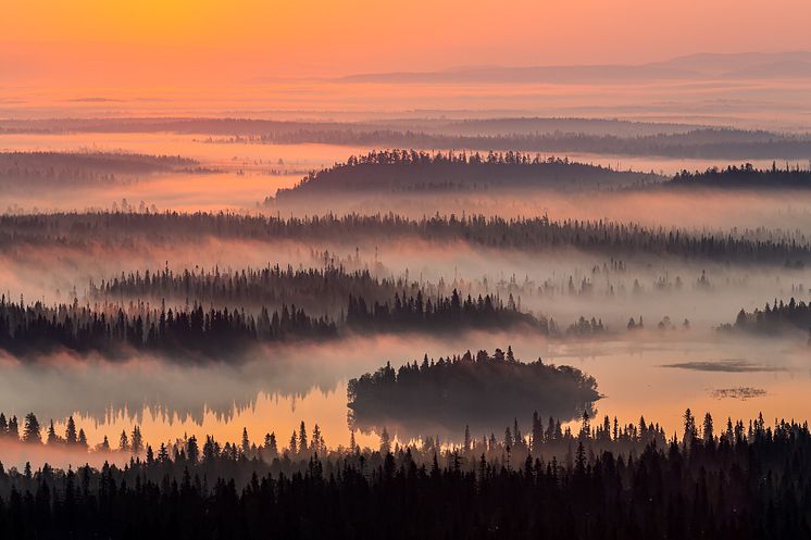 Maisemat-sarjavoittaja 2020: Elokuun aamu, kuvaaja Jarmo Manninen, Canon EOS 5D Mark III 