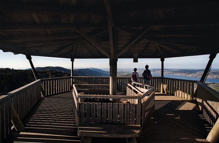 Wildnispark Zuerich Sihlwald 