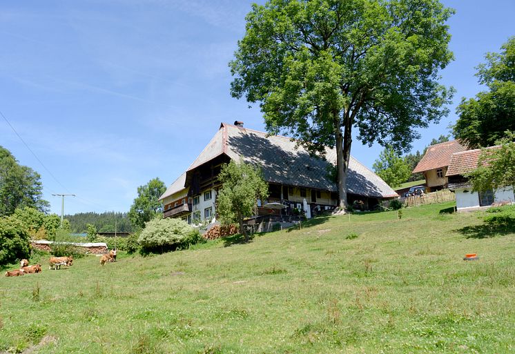  Sanierungspreis 18 - Gewinner Holz - Gebäudehebung Hägelochhof Langenschiltach