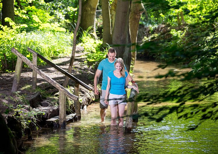 Kneipp Wassertretstelle-Buckow_Foto_Tourismusverband_Seeland_Oder-Spree_Florian_Läufer