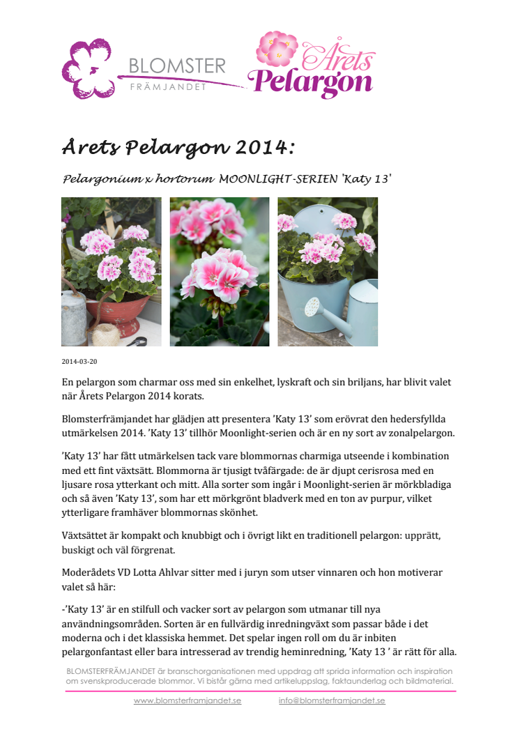 Årets Pelargon 2014 - Pelargonium x hortorum  MOONLIGHT-SERIEN 'Katy 13'