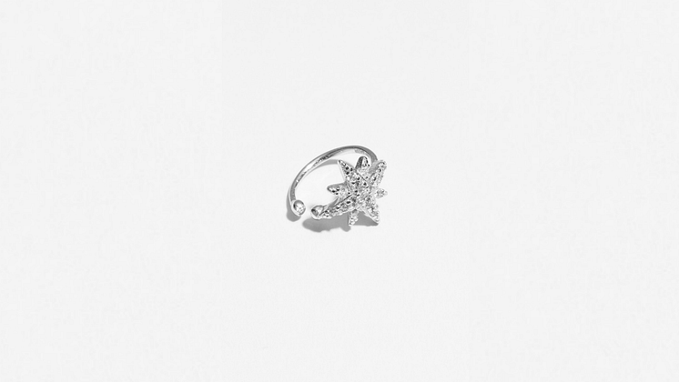 Earcuff - 13,99 €