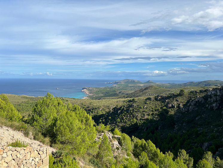 TUI Forest Mallorca_landscape 2