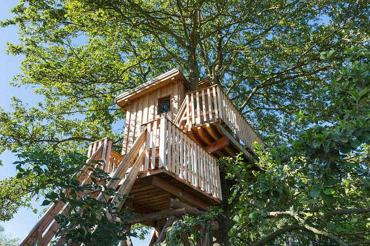 treehouse_Gollin_C_TMB_Fotoarchiv_Steffen_Lehmann