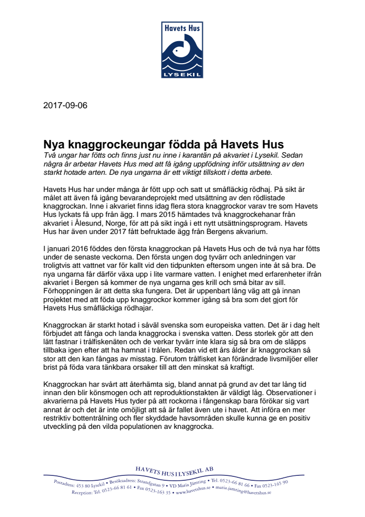 Nya knaggrockeungar födda på Havets Hus 