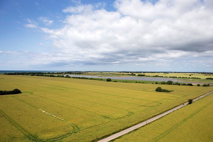 Aussicht vom Flügger Leuchtturm