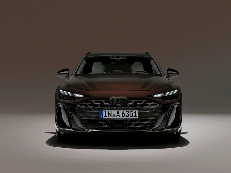 Audi A6 Avant (Madeirabrun) gif