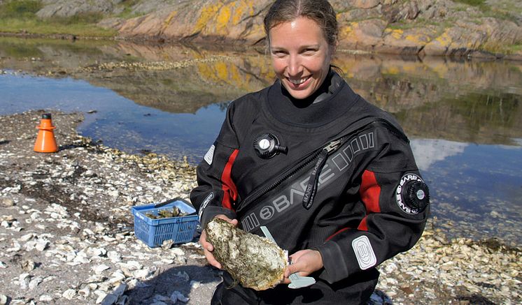 Odling av stillahavsostron, Åsa Strand, marinbiolog,