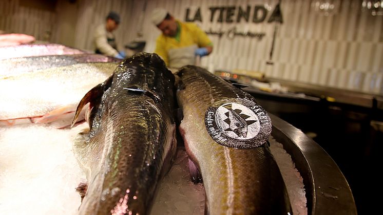 Skrei på fiskemarked Madrid