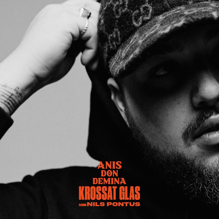 krossat_glas_omslagTIFF-ljusare
