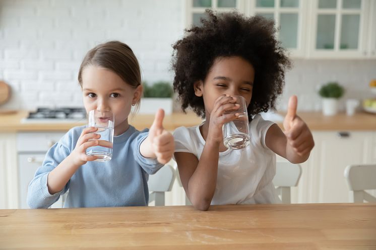 48096376-portrait-of-smiling-multiethnic-girls-drink-water (1)