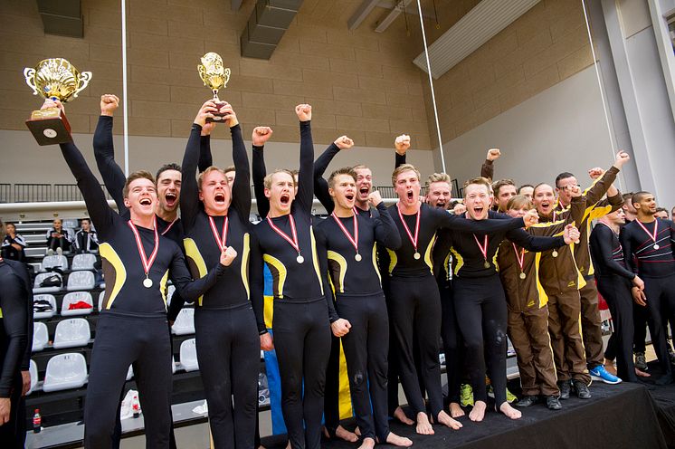 NM-guld i truppgymnastik 2013 till Brommagymnasternas herrar