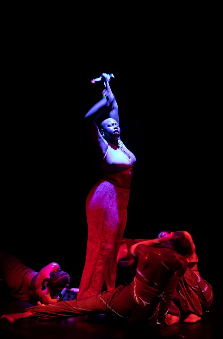 Company Nicolas Huchard - The barefoot diva