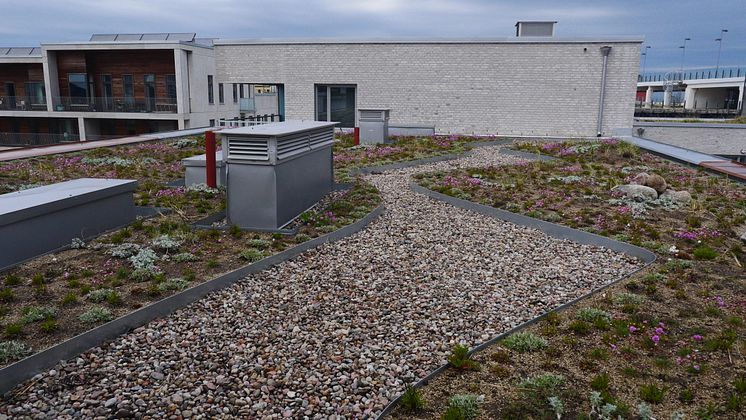 Strandängstak, kvarteret Koggen, Västra hamnen Malmö (gång på tak)