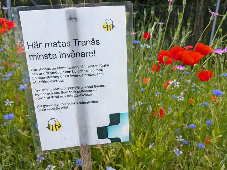 blomsterang.jpg